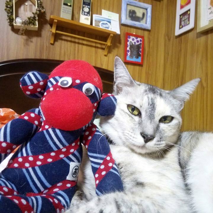 86fd87d3 a94e 4a47 8176 0a21c5f18dde 1536400563630