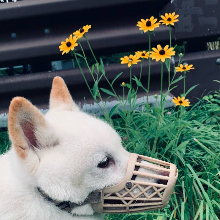 86fda0da 9760 4573 8c78 685c1f46879c 1660077885642