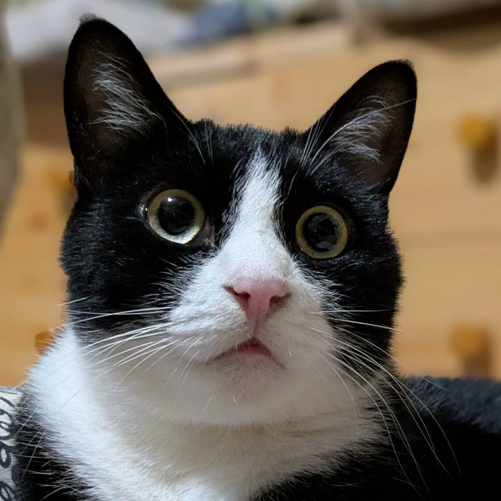 86fdb3c8 94c6 4b4d 8e91 a4c4898f77e0 1756523141239