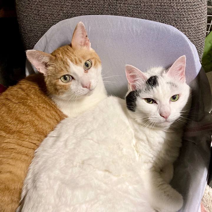 86fdf3c2 f7a2 4f00 8bcd 83bb7f283d09 1658575637840