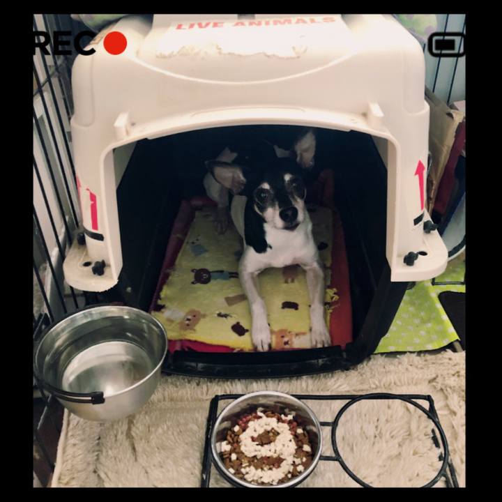 86fe08c3 539b 41a6 91a8 400419202c56 1555023811534