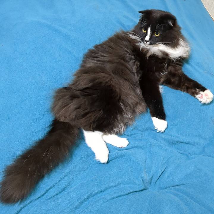 86fe10d4 4c5b 4f50 9f15 63189e3b11e3 1676289136284