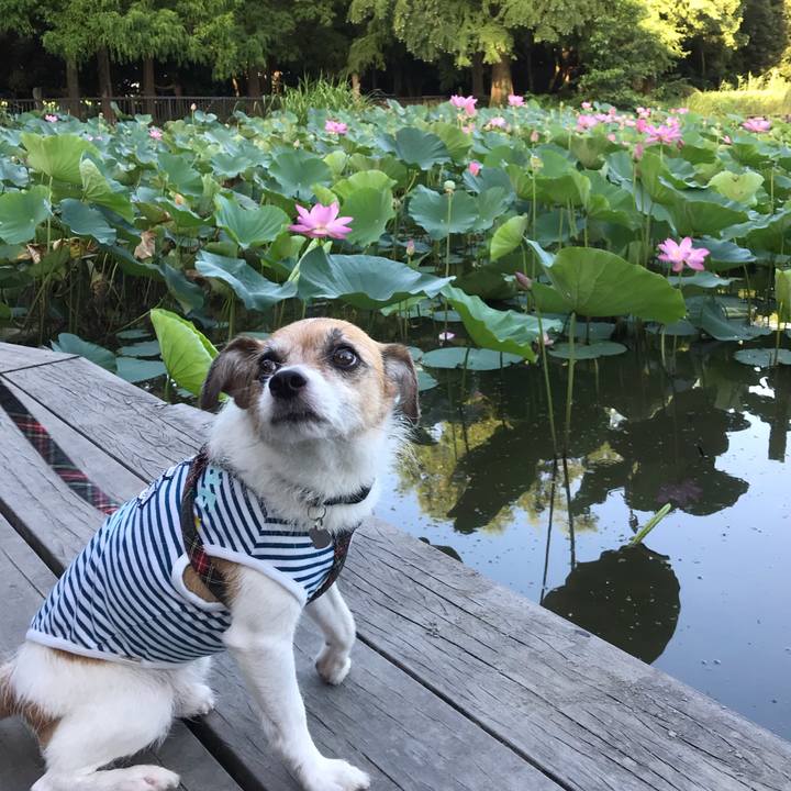 86fe6145 e74d 435b 8fa0 397dcbe1e3ea 1565652432031