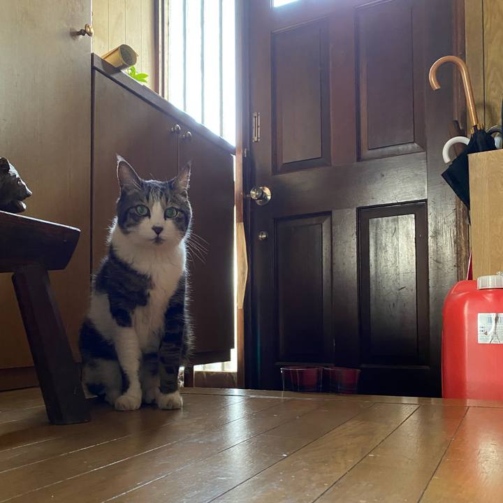 86fe74c7 581b 4300 a733 ca9bebbe999c 1627298422891