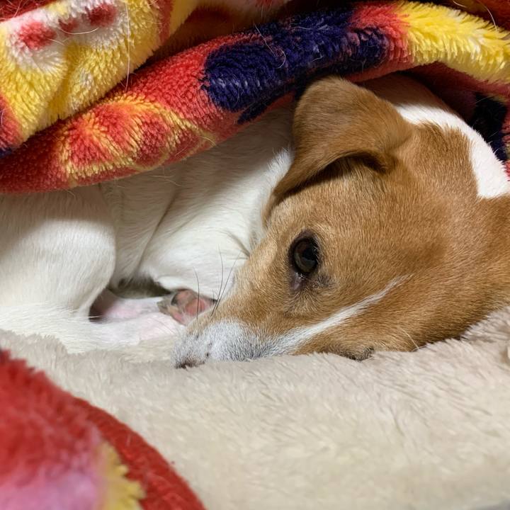 86fe9158 41ae 4230 8ee6 83e7989a6341 1604141051941