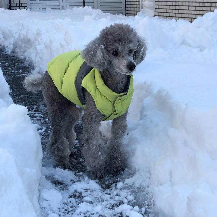 86feb8c8 9ccf 478f bc1b 33713b3e5c28 1516701262179