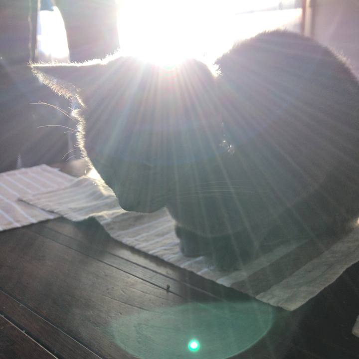 86fefa28 f4e5 49ba adde e7d8b90b111c 1512600177412