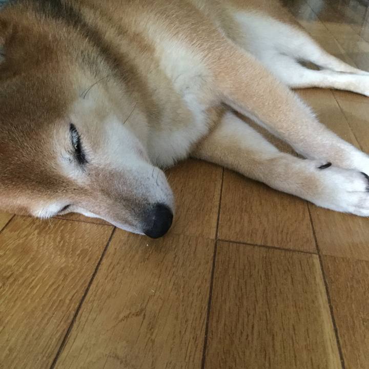 86ff3ea6 7a16 4004 89d4 0a76b7cac2c0 1596758029316