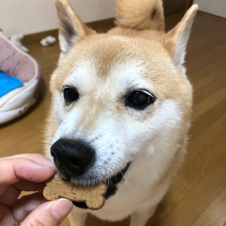 86ff45dc e934 4bc5 b061 533c67da41fb 1596286005076