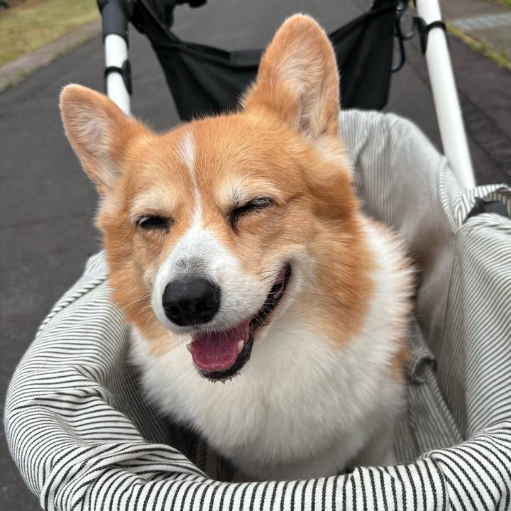 86ff5282 96aa 47c9 9dc5 83b21f8f16f3 1746856236413