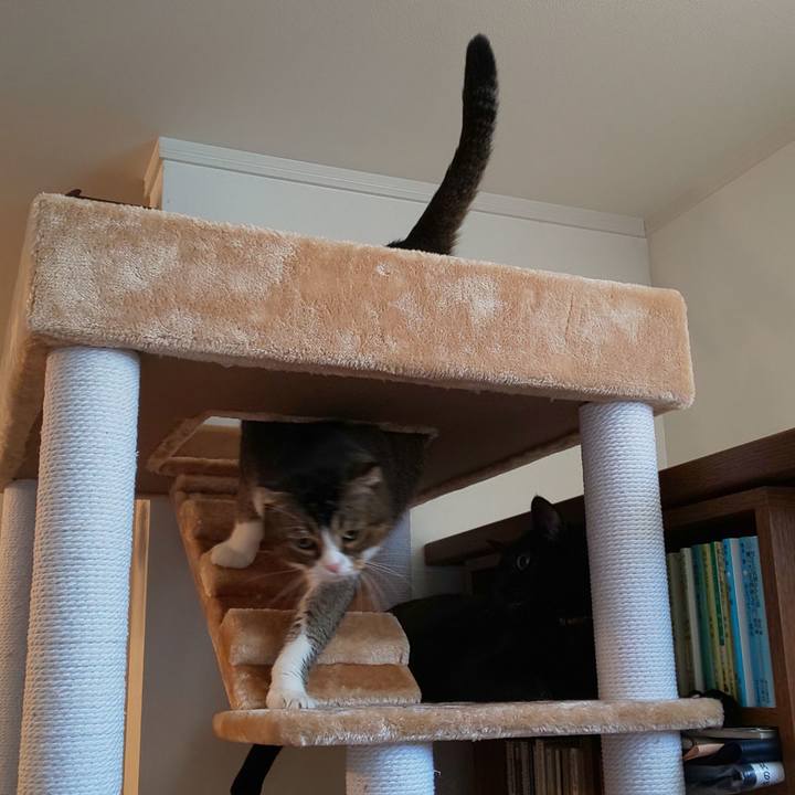 86ff7fbc 899a 4317 8d0e 14071f3a3b20 1568427013556