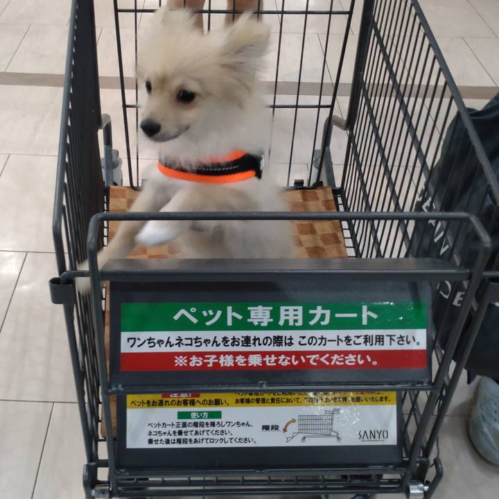 86ff8b71 5ef9 4734 9221 9780f8400700 1726446750934