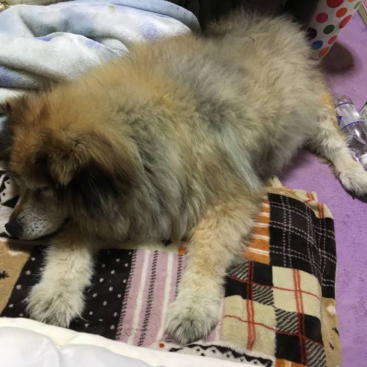 86fff54a bffb 4c77 9680 9de37a81d477 1556967937304