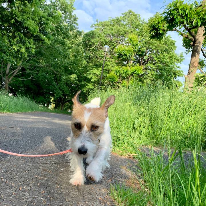 87000177 0258 498f ada6 581e38a52f9d 1620769984970