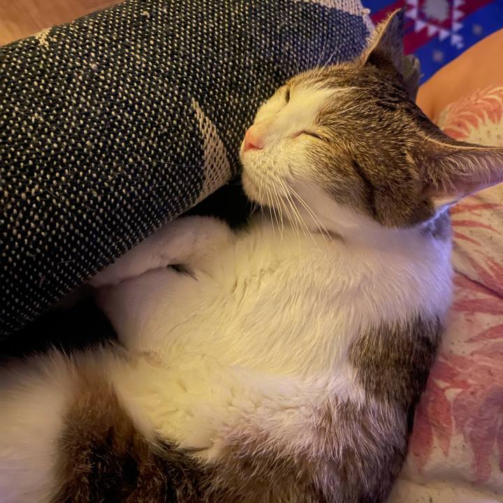 87002078 6ffb 4d25 b77c 9d1e154c6650 1629041296666