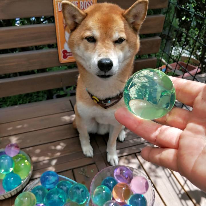 87003a96 bde0 46f3 823e 8c99f9d7648f 1629252123283