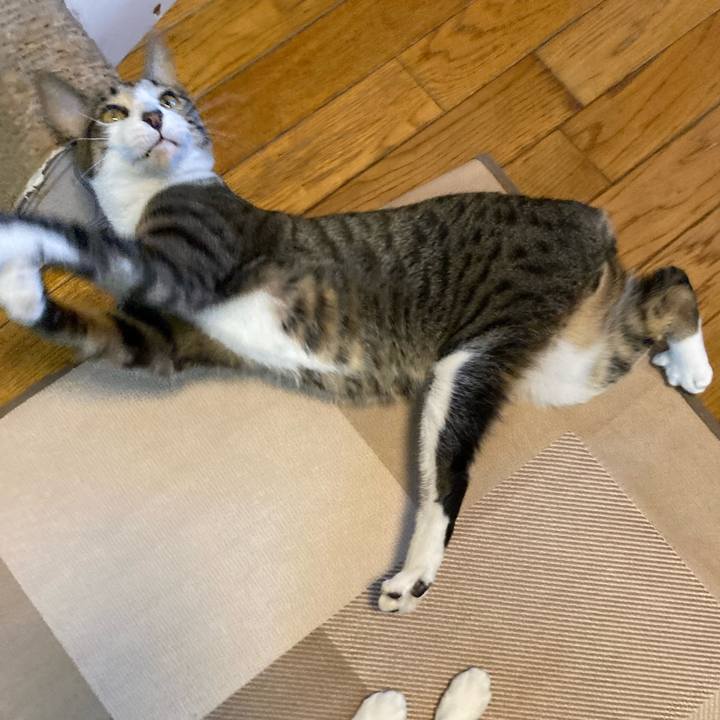 870050be a7c7 4683 9a7a 44eeee80eda0 1740665460035