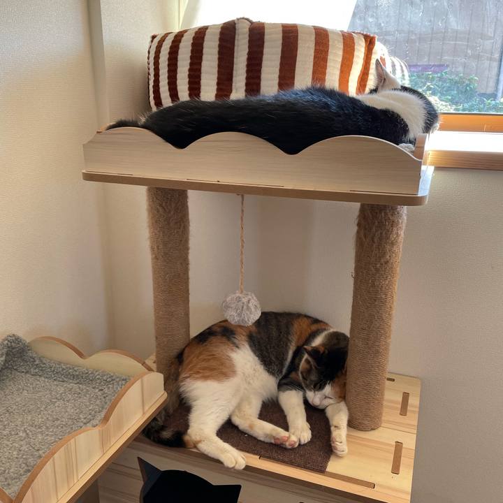 87006e1d 1522 4959 9ceb 177784a626f9 1664686038884