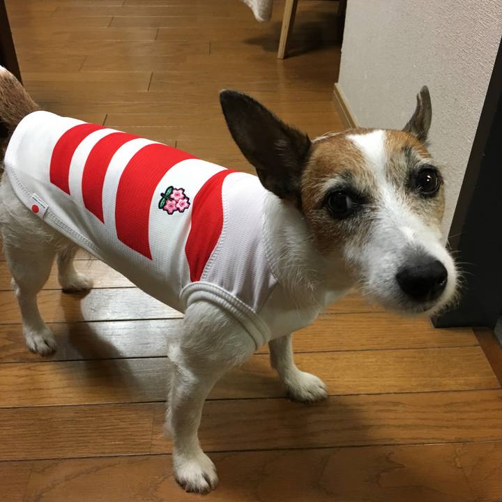 87007829 3d38 4658 8874 1b0ea8506415 1568932848338