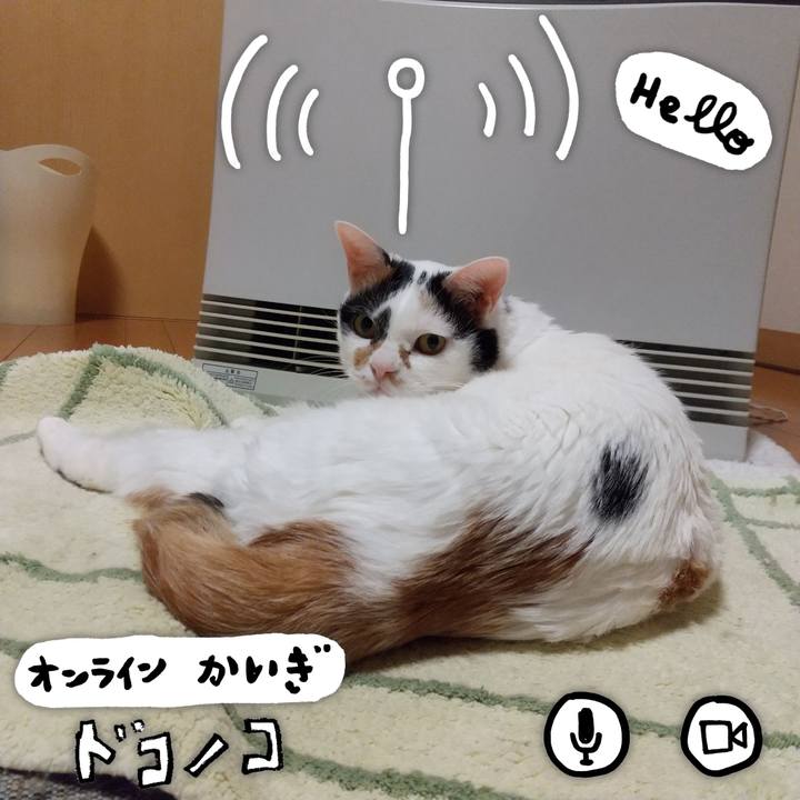 870081c6 6ff0 482e 9e42 7a2417ef46f2 1590705917773