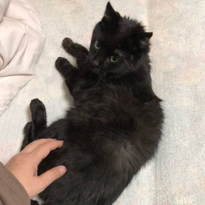 8700830c 3b3d 45cf 809b d42d7d48e3ab 1604836717723