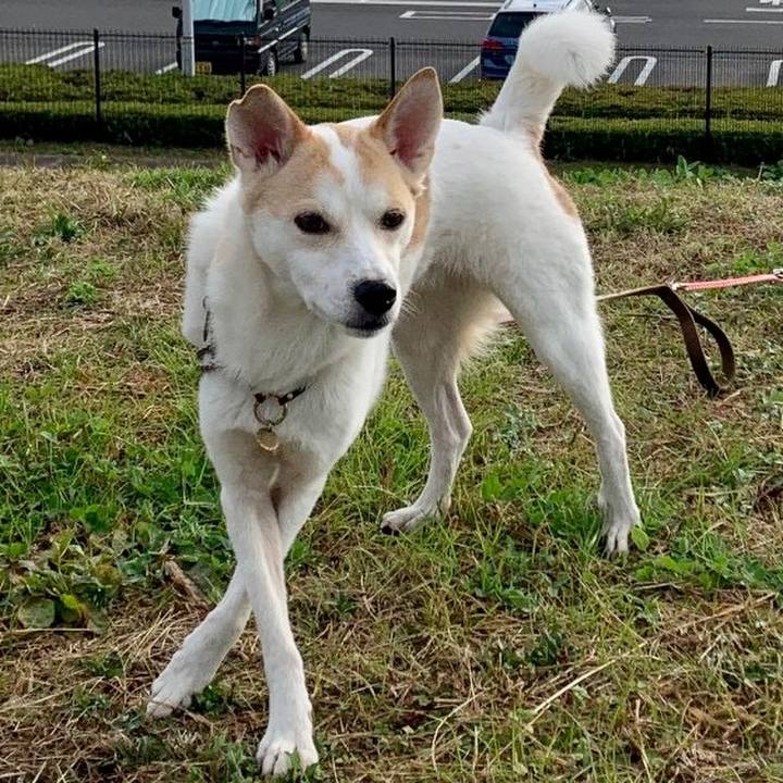 87008fc2 94e4 496f 97d4 20e55ecc5e9e 1671073279593