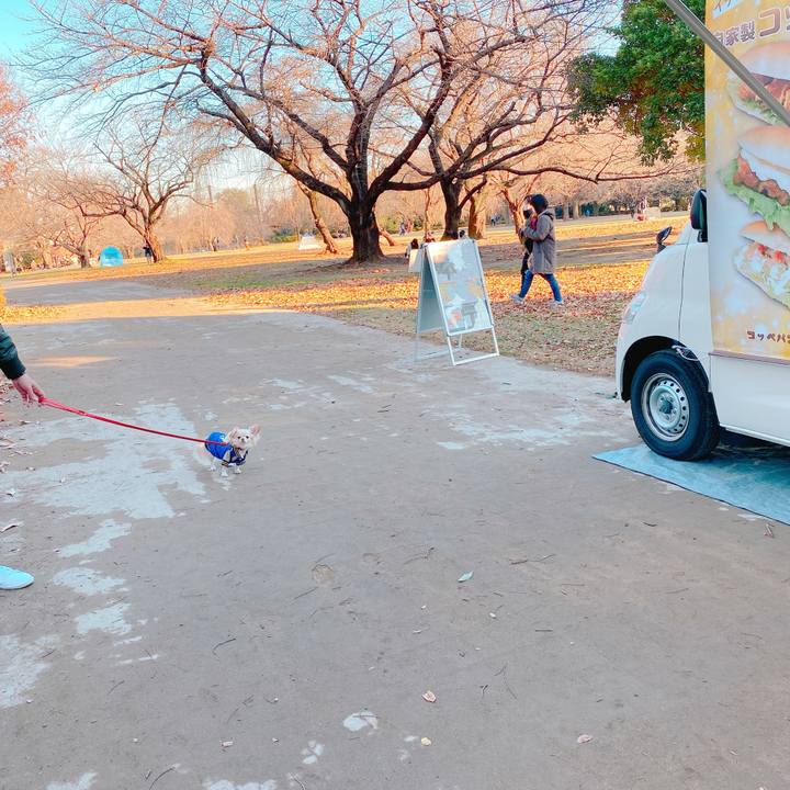 8700b3c7 664c 44eb aa9c 3f4af9d796a7 1640137324192