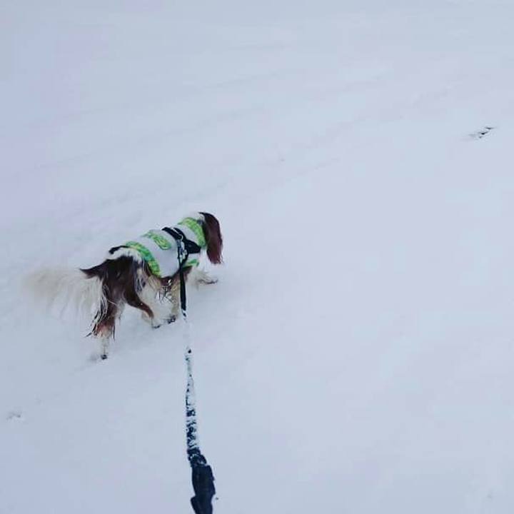 8700bc7f 7526 4693 a888 02b81de2db0f 1546143004505