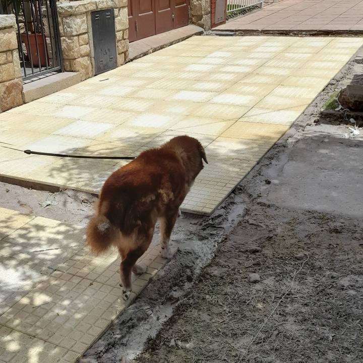 8700d0b8 1c77 4a58 8d28 ba1a3eee498c 1766344636401