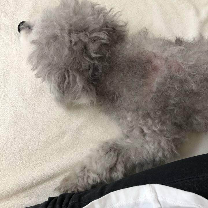 8700e33d 1db2 4f4c 9fe5 d594d7b80f75 1587542654539