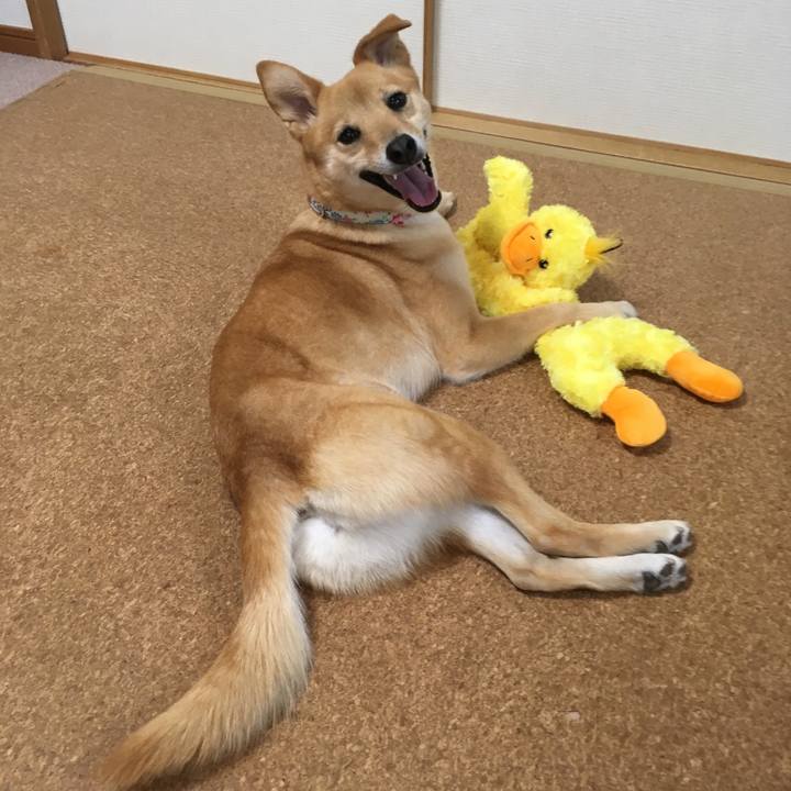 8700eb44 1668 42c2 a33e af3c0b592e5a 1558841125246