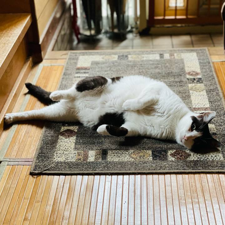 8700ed1d 7b5f 460c b8d2 80aef6315a2c 1657677148792