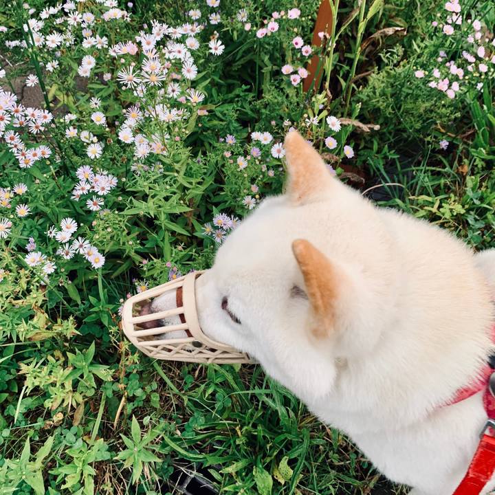 87012bde ff83 48ae a767 86017eaf5fc5 1568583966338