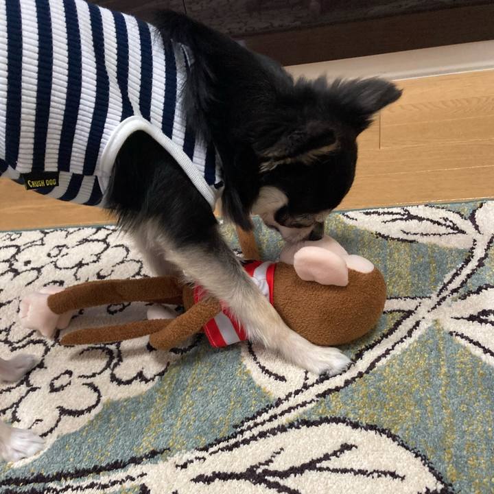 87013c06 3152 40dc 9411 80aea08650e8 1619669789364