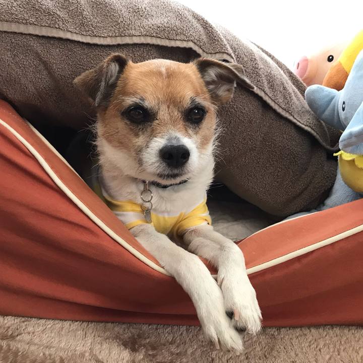 87013db3 0c67 485f bb87 547dfb651a90 1557645350970