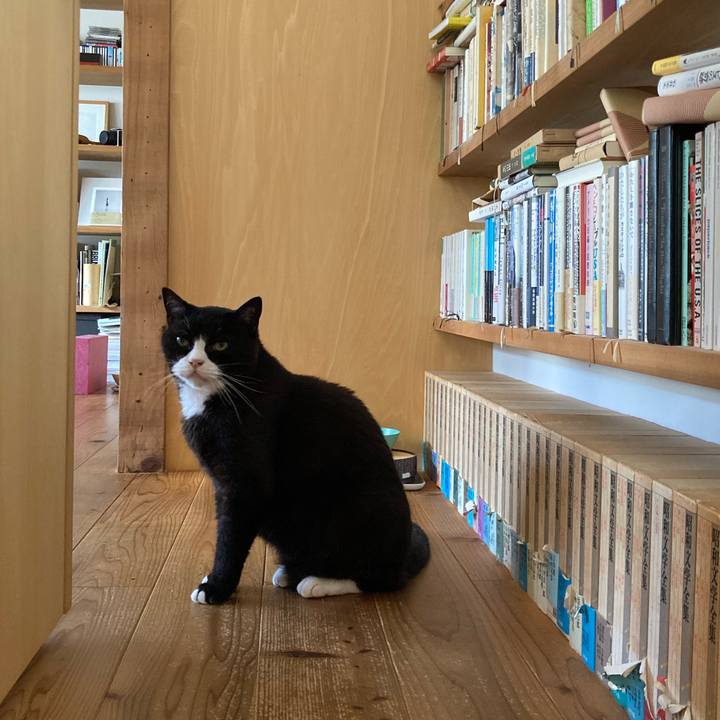 8701594f 9187 4ab4 ab61 e712a0ef1e94 1626481310574