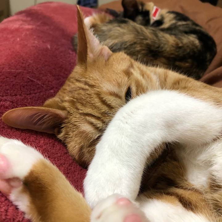 8701958c 6fc6 4411 85c1 863811aeacb2 1552819024309