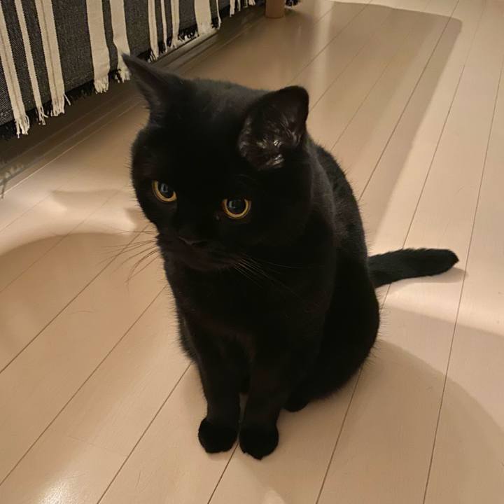 8701c361 30fd 44c7 9ae4 ecae0f1d4fa6 1759927841352