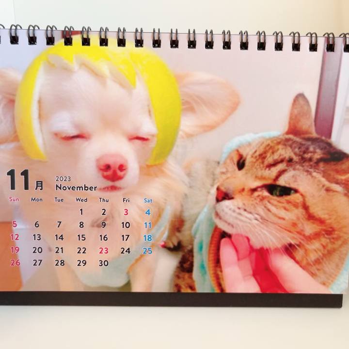 8701c5b5 aaef 4d40 8040 021e59e65671 1698818378640