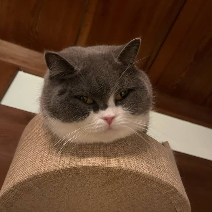 8701f177 088b 4359 a415 2de38ba465ea 1643028889411