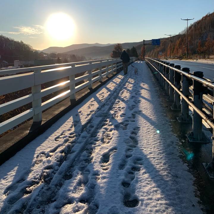 8702358d c48f 4583 8d1d 6e3f7ea335b7 1668732504542