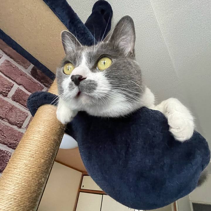 870248e5 7b14 4320 9573 10d7d0cd05dd 1754124343700