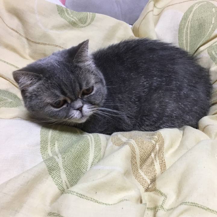 870282d8 ea1b 41ec 8391 a6b91ec19eaa 1546958762496