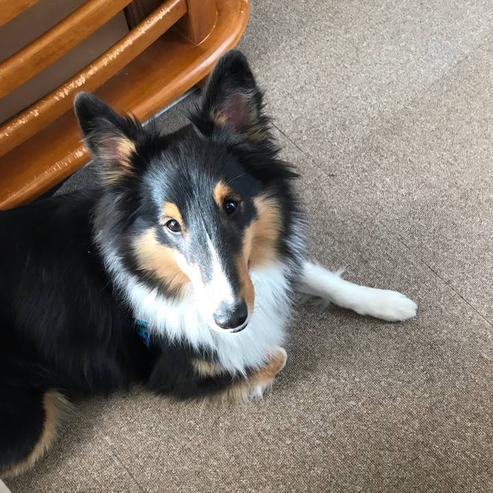 8702b8a8 e388 4886 8c62 efa66569cf16 1543624692167