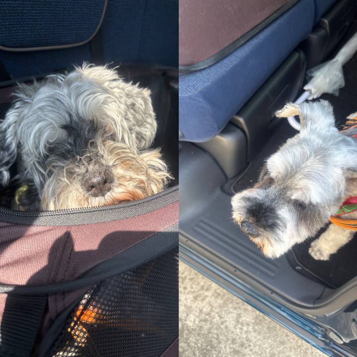 8702c051 5ad6 41dd ac8b 95018e509b76 1774344053056