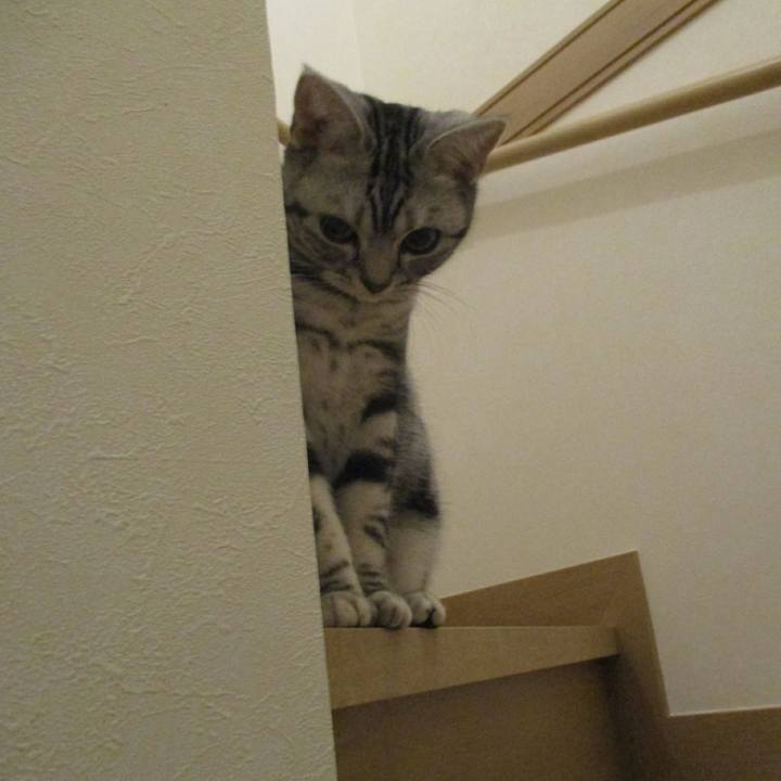 8702c639 1424 46e7 bcb3 d0f68cb74d55 1552737437679