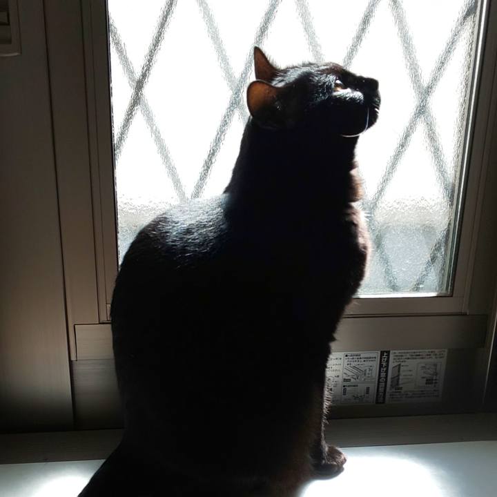 8702d8c3 4c99 4a26 bf39 d65d74611805 1679201696648