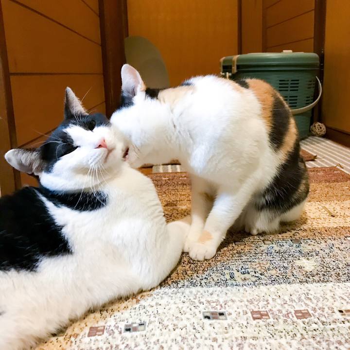 8702ef10 c69a 4bbf 8717 877b3a60af49 1525009206305