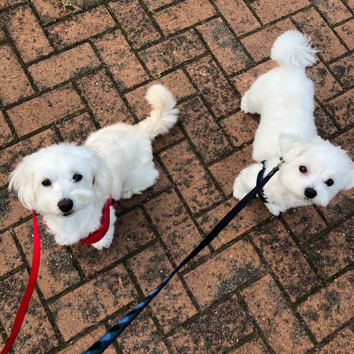 870309b7 7946 4a55 a764 dfe6d3adfcdd 1530229025870