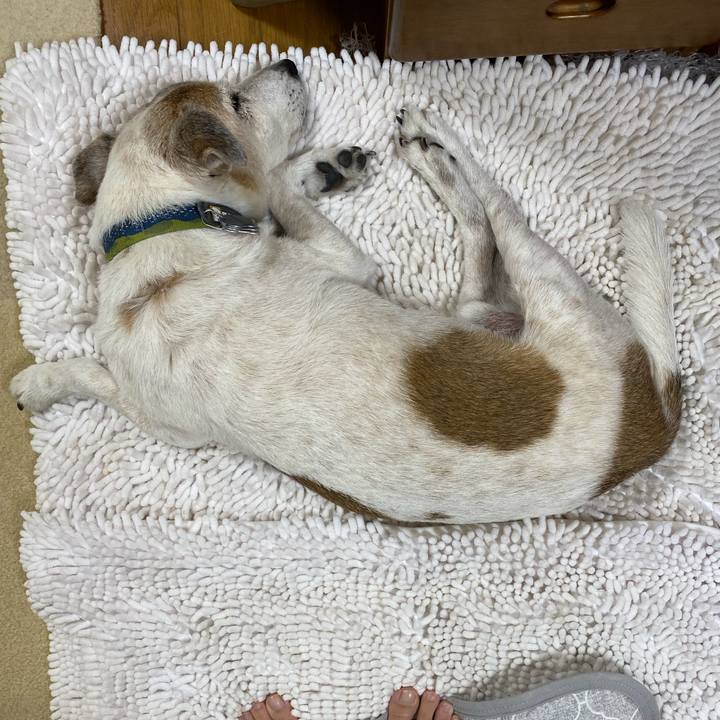 87039bb0 e169 4e3e a38a c25b0c4bfe34 1693786805607